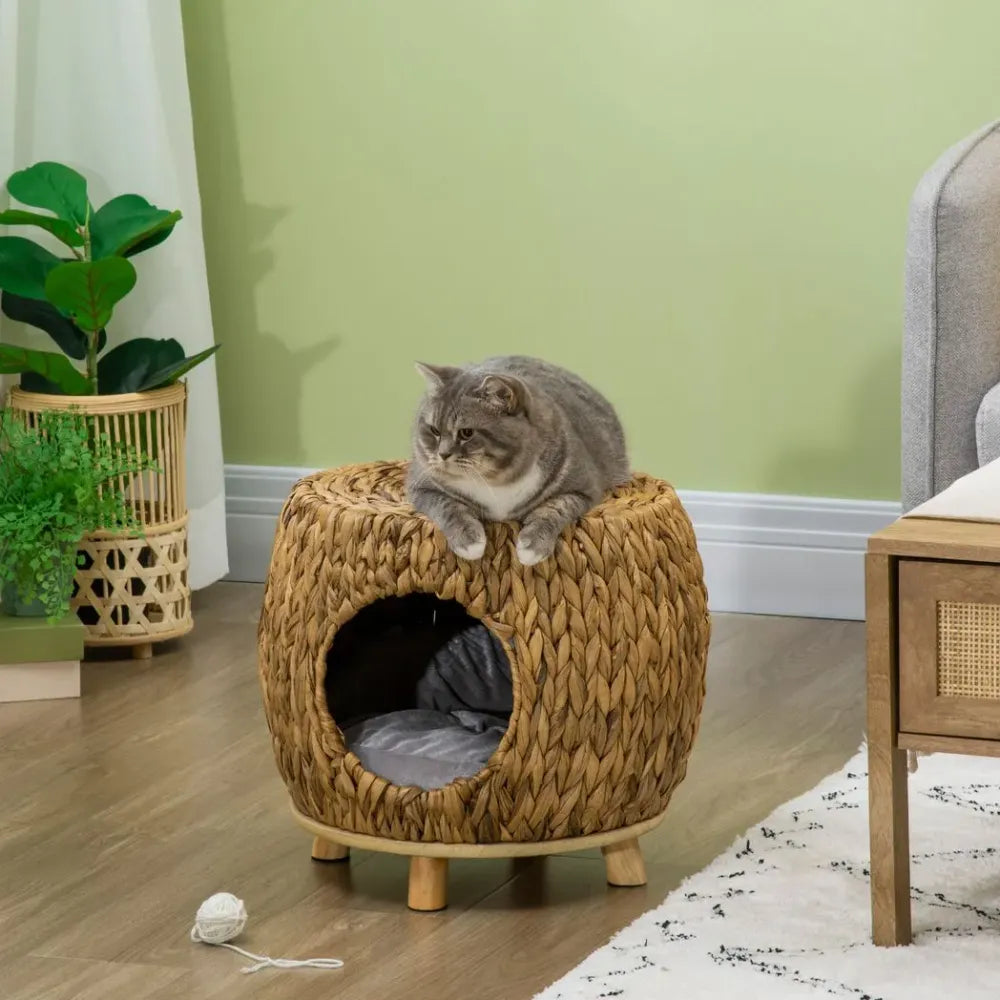 Tabouret pour chat en rotin, lit pour chaton en osier pour extérieur et intérieur avec coussin